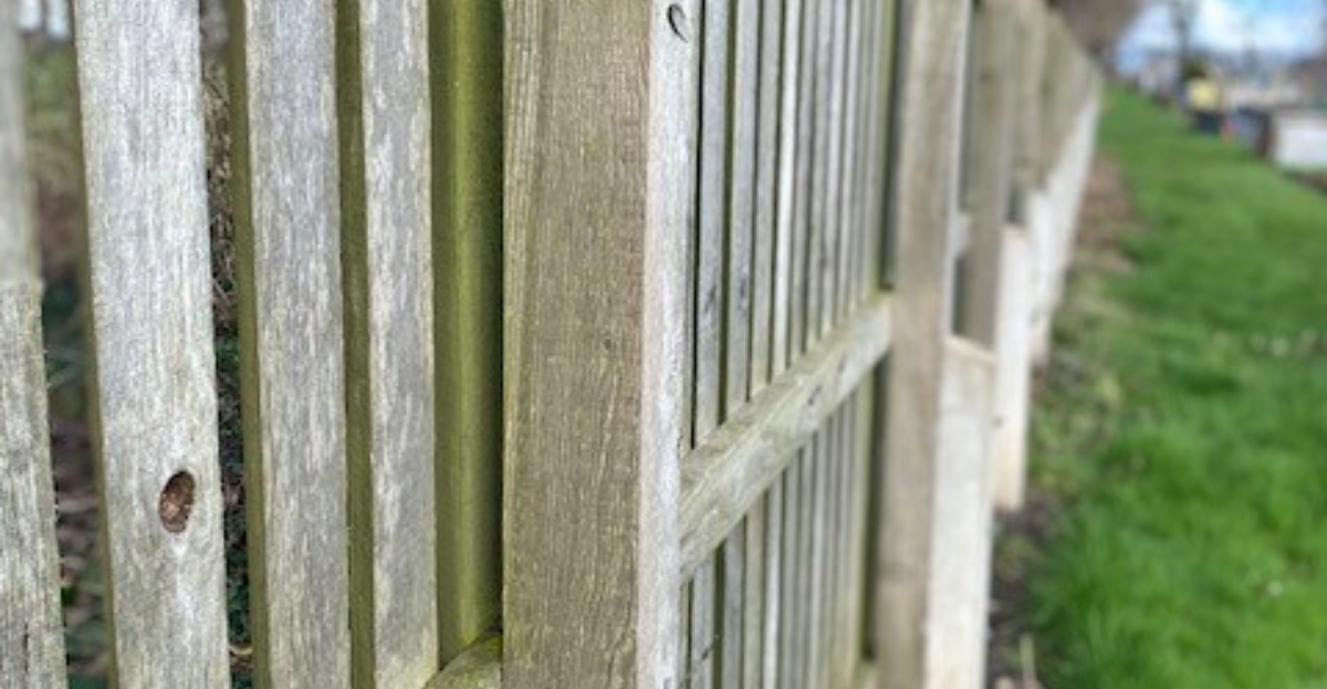 Allotment Fence